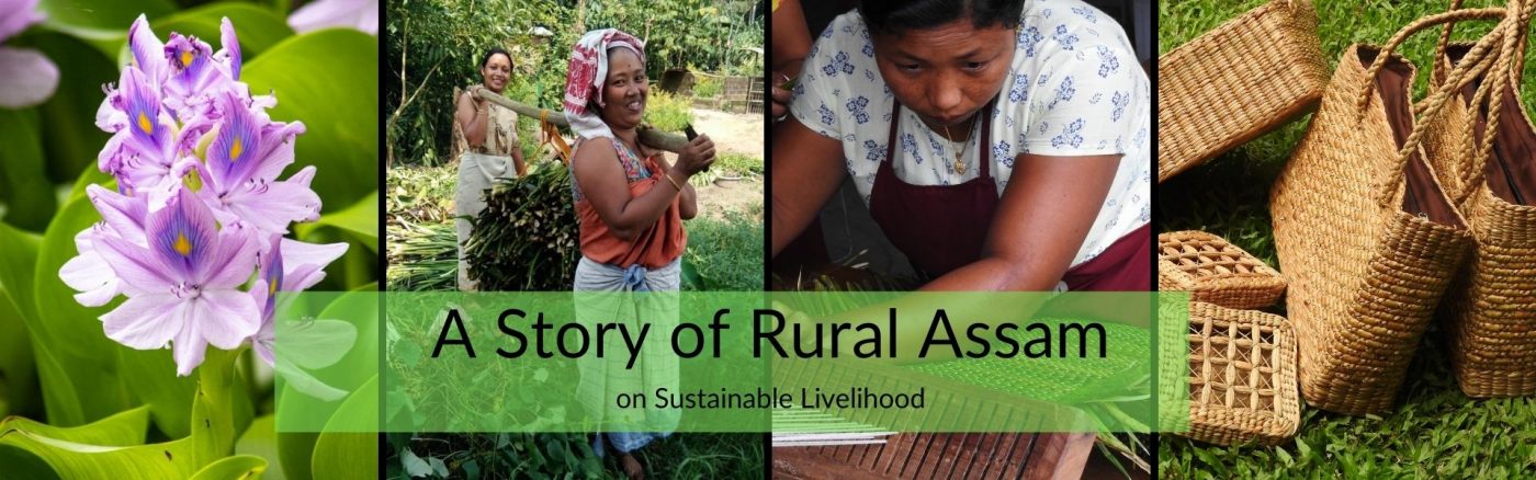 Assam State Rural Livelihood Mission