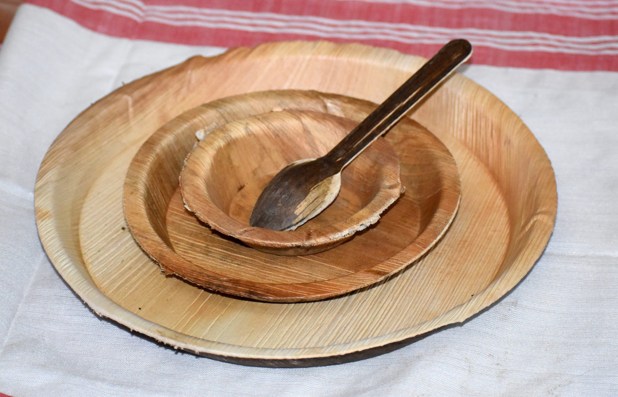 areca-leaf-plates-assam-state-rural-livelihood-mission